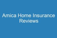 Amica whole life insurance reviews